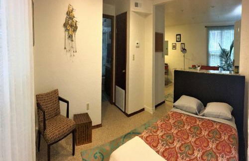 OU-Walk to Campus , Downtown ; Designer Studio - Foto 71