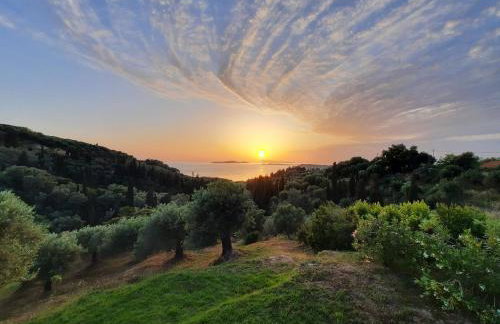 Villa Theia et Studio Theia - Foto 28