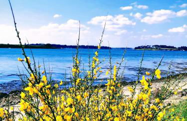 Maison familiale en bord de mer - Foto 28