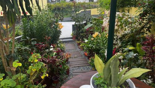 Terra Chã Cottage,FEEL Home, - Foto 2