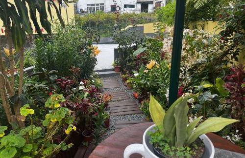 Terra Chã Cottage,FEEL Home, - Foto 2