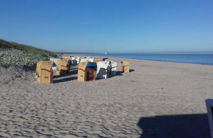 Ferienwohnung in Boddennähe - Foto 11