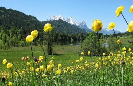 Alpenchalet St.Ulrich - Foto 48