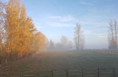 Steewer Landhaus gemütliche Ferienwohnung bis 6 Pers in ruhiger Ortsrandlage - Foto 64