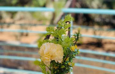 Ευρύχωρο Διαμέρισμα Χαλάνδρι - Foto 25