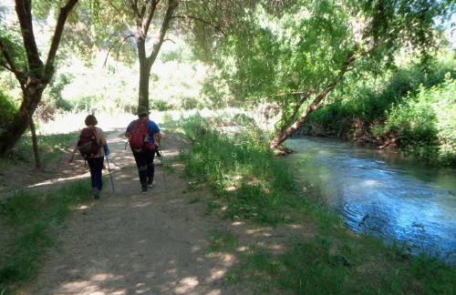 Casa Paco & Carmela - Photo 34