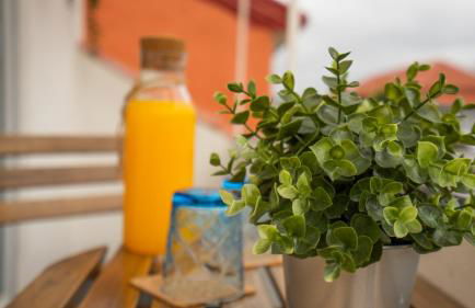 Oporto Explorers - Foto 34