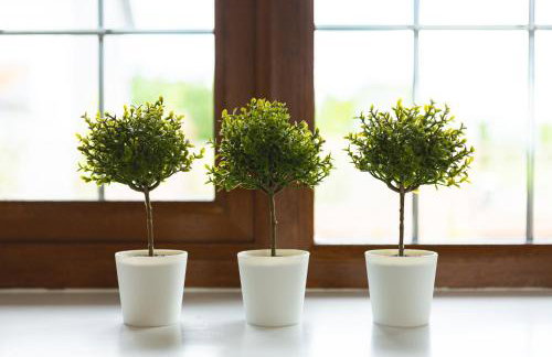 Wick House - Foto 71