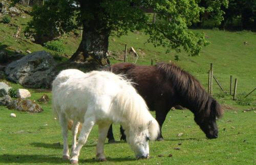 Ardgarry Farm - Photo 29