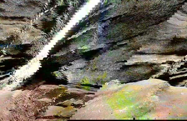 Lapa & Monge State Park Tour - Photo 5