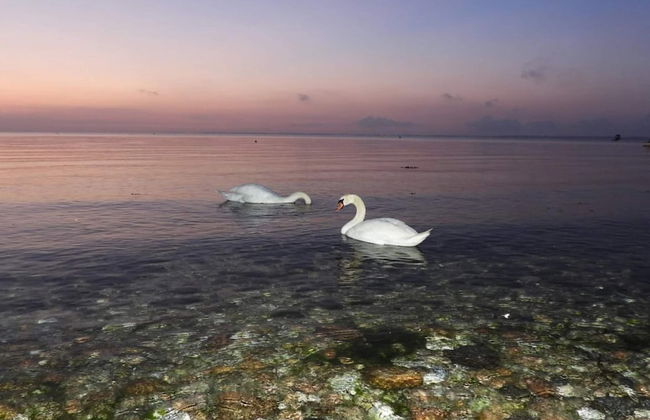 Secluded Cottage Retreat at Ordrup Naes-by Traum - Foto 34