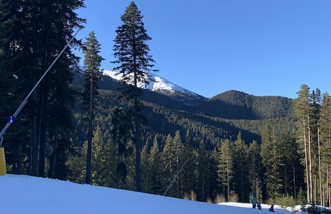 Beautiful Cosy Studio Apartment in Bansko - Photo 21