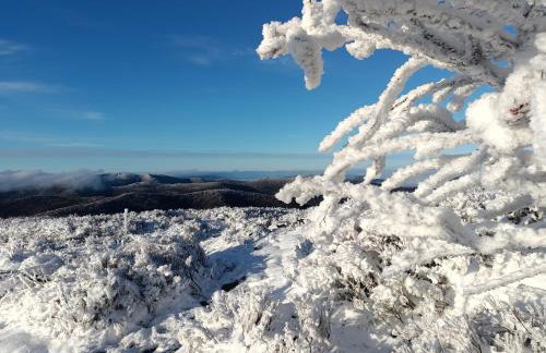 Domki Nad Jeziorem 781-281-434 - Photo 44