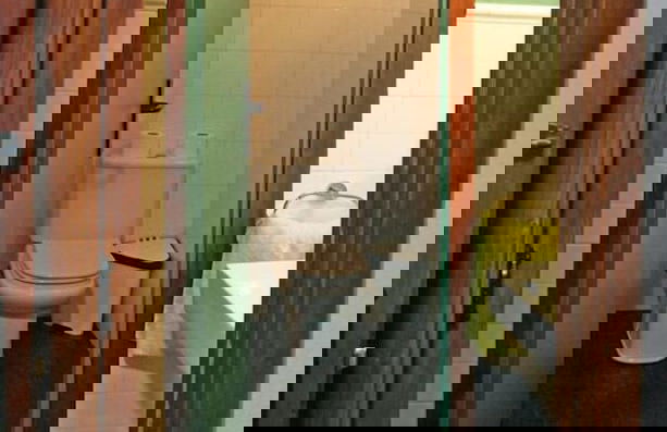 Monte Baserria - Photo 41