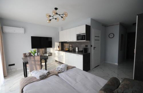 Katowice Apartamenty Hetmańska 4 - Foto 8