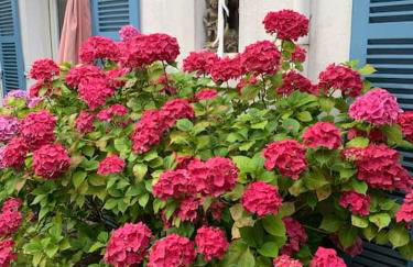 Vacances plages, mer, balades ou GR34 ! - Foto 27