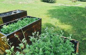 Czerwony Dworek 8 - Agroturystyka Karkonosze - Foto 12