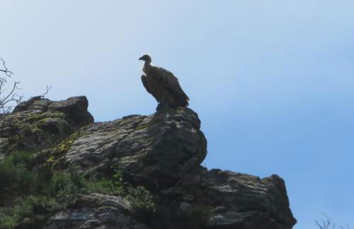 Maison Irriberria - Foto 14