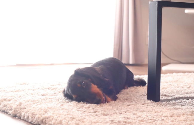 decopinhouse - Foto 68