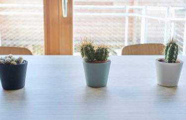 La Ferme des Ailleurs - Foto 34