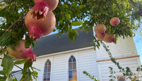 Prairie Home - Foto 2, Other