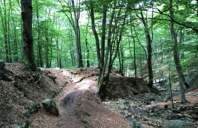 Cozy Nature Escape, Stoumont - Photo 27