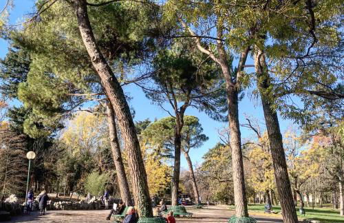 Healthy Flat Bologna - Tower Skyline View - Photo 33