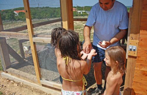 Maslina in Popovići (Haus für 5-7 Personen) - Photo 51