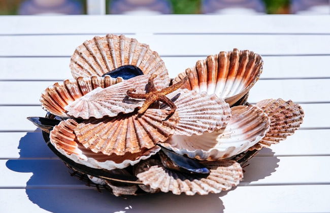 Holiday Home Malinina - Photo 43