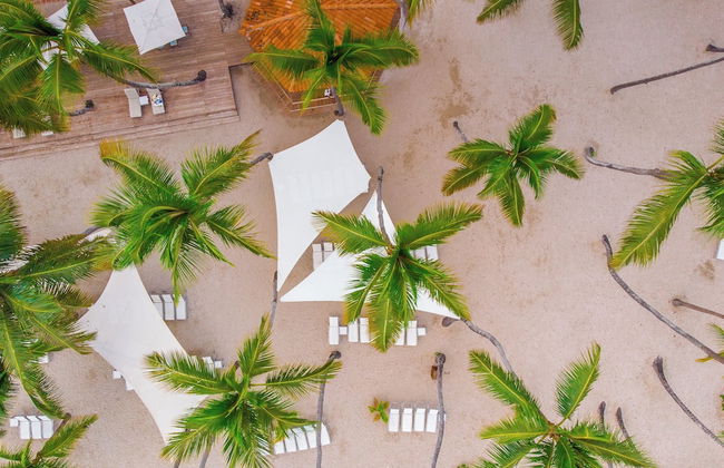 Club Hemingway - Foto 60