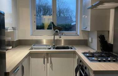 Entire house - Peaceful 3 bedroom home - Foto 11