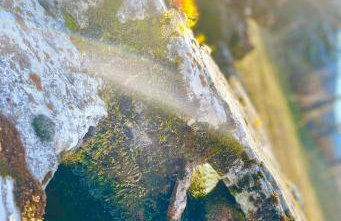 Appartamento Vacanze Il Daino - Foto 18