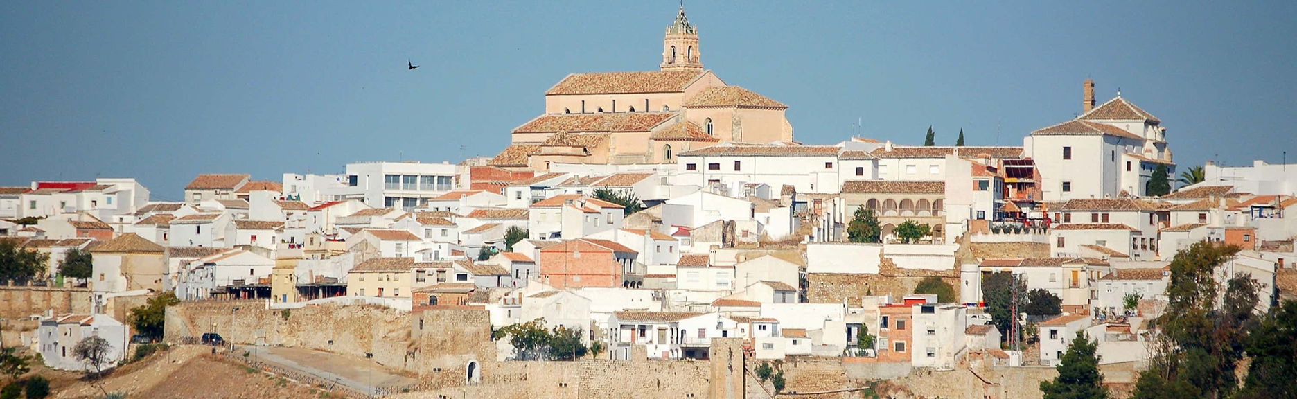 Visita guiada por Baena