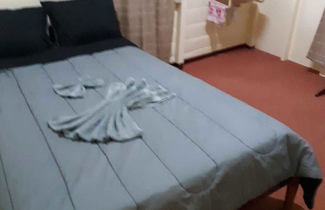 Max Garden and Pool - Photo 6