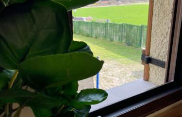 Casa El Rincón del Juncaral - Photo 25