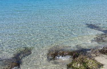 La Casa di Peppe - Foto 18