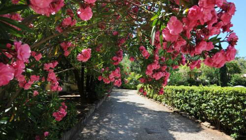 Villa Teresa - Foto 5, Garden