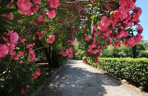 Villa Teresa - Foto 5