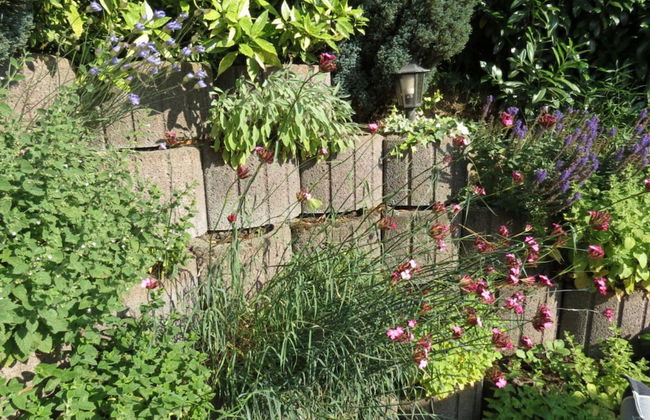 Holiday Home Later Comfortable Vacation Home - Photo 16