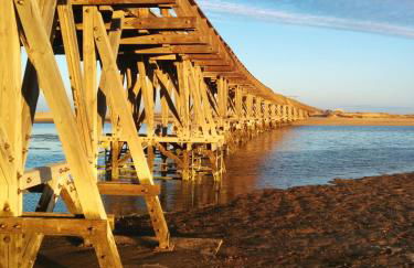 ESTUDIO CON PISCINA Y GARAJE A 100 Mtr DE LA PLAYA - Foto 26