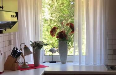 Wohlfühlen in gepflegter 70 qm Oberwohnung - Foto 4