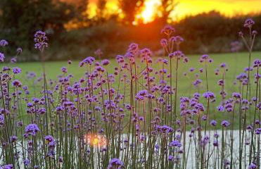 Bluebell Farm - Foto 70