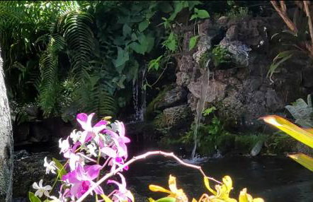 Prince Kuhio 110 - Foto 46