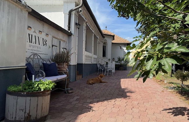 Treasure Of The Past With Whirlpool - Foto 32