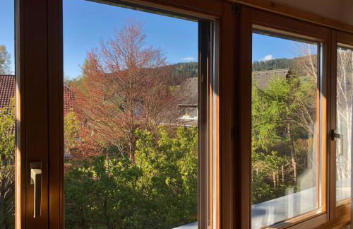 4-Sterne Ferienhaus Rösslewiese Hinterzarten - Foto 13