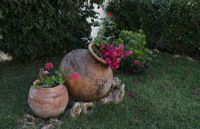 Muthu Balaia Sol - Photo 58