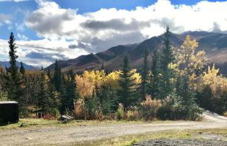 Denali Park View House - Photo 20