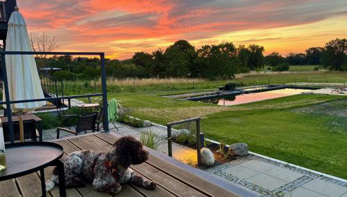 Landloft Linum - Ausgebaute Scheune mit Aussicht, Naturpool, Kamin, Sauna, Luxusausbau, handverlesene MidCentury Möbel & Kunst - Foto 3