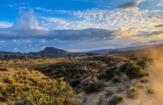 Balade en 4x4 dans le désert de Tabernas - Photo 9