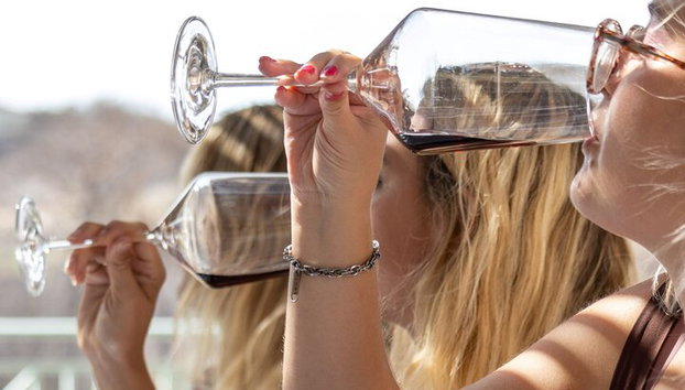 Degustación de vinos en Rodas, dentro de los viñedos con el productor. - Foto 2
